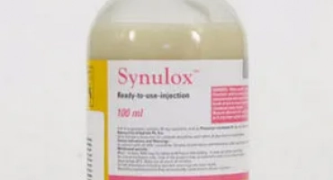 Как и защо да използвате sinolox за кучета (инструкции и дозировка)